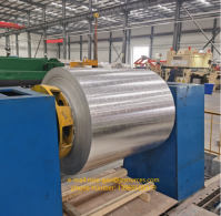 Best selling manufacturers with low price and high quality prepianted galvanized steel coil
