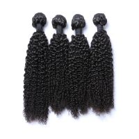 Double Drawn Virgin Raw Unprocessed Hair Weave Bundles Remy Deep Weave Wefts DW WW Jerry curly kinky curly hair styles