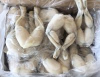 Frozen Bull Frog Legs for Sale