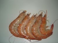 Frozen Vanamei Shrimp