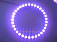 Sell LED Angel Eye-100mm