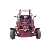Sell 250cc GO KART with EEC