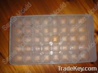 ice tray mould