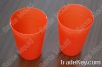 water cup mould