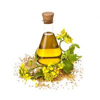 Hot Sale Pure Sesame Seed Oil Bulk Cooking Sesame Seed Oil Cold Pressed Refined Sesame Oil