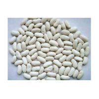 Highest Quality Natural Wholesale Top Grade White Kidney Beans For Exporting High Quality Large Big White Kidney Beans