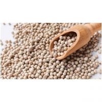 Newest Crop Spices Wholesale White Pepper 100% Dried White Pepper Best Quality Spice