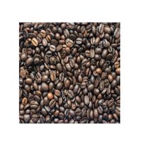 Hot Selling Arabica And Robusta Green Coffee Beans