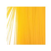 Italian spaghetti  export wholesale price