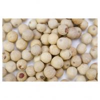 White pepper seed good Price pepper spices & herbs products high quality white pepper Wholesale Spices