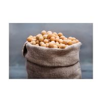 Non Gmo Soybeans / Soya Beans Soy bean Seeds and Soya bean Seeds