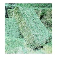 Quality alfalfa hay bays / Alfafa pellets / Dehydrated Alfalfa cubes timothy hay