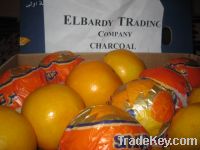 Sell egyption fresh orange