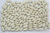 Sell white kidney beans
