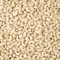 Quality Organic Raw Cashews nuts