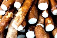 approvisionnement  en manioc