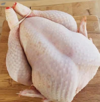 whole sale All in 1 Frozen Whole Chicken and Parts / Thighs / Feet / Paws