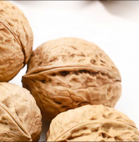 Walnut and Walnut Kernel cheap price