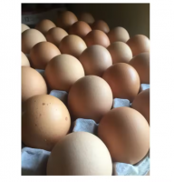 Fresh Brown egg Best Quality Table Chicken Eggs