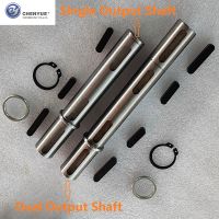 CHENYUE DUAL OUTPUT SHAFT MATCHING FOR WORM GEARBOX NMRV030/ RW030 /VF030