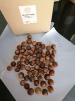 soap nuts  stand up pouch&box board packing