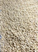 VIETNAM CASHEW KERNELS FROM AGRIBETTER WITH PREMIUM QUALITY AT CHEAP PRICE