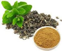 Green Tea P.E. green tea extract