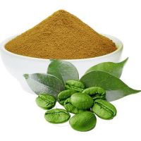 Water Soluble Green Coffee Bean Extract Green coffee P.E  Chlorogenic acid