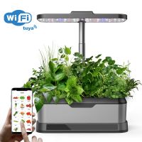 Indoor Garden Hydroponics Growing System: 10 Pods Plant Germination Kit Aeroponic Herb Vegetable Growth Lamp Countertop with LED Grow Light - Hydrophonic Planter Grower Harvest
