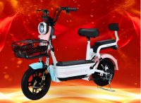 factory sell e-bike