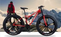 factory sell 4.0 snow fat mountain bike/fat bicycle