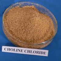Sell Choline chloride 50 %( Corn cob, Silica )