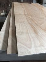 High quality commercial plywood: Okoume Face