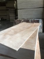 Moisture-Proof Okoume Faced Commercial Plywood