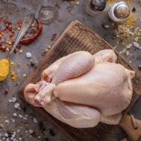 Halal Certified Frozen Whole Chicken For Wholesale