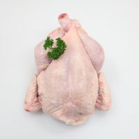 Wholesale Price available to Export For Sale Frozen Chicken