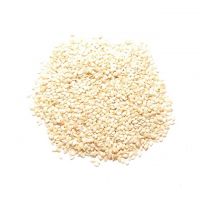 Premium Quality White Sesame Seeds Fully Organic Seeds and Pure Natural Available at Best Wholesale Price
