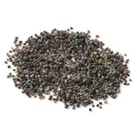 Hot Sale Top Quality Poppy Seeds at Factory Price Available wholesale prices Organic Poppy Seed