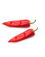 Hot Sale High Quality Custom Packaging Cost Effective Fair Price sheppars bell Peppers Fresh Spice Red Chili Fresh Red Chilli