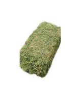 Best Super Alfalfa Hay Timothy Hay Lush Green Moisture Controlled Alfalfa Hay Big Bales Alfalfa Pellets For Cattle