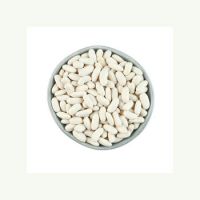 White Dried Navy Beans White Beans Navy Pea Dry Bean Wholesale Navy for Canned Long Shape Dry