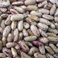 whole sale Light Speckled  Beans  Long Grain Sweet Beans Sugar Beans on discount now