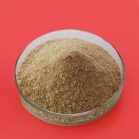 Cosmetic Grade Alginate de Sodium Sodium Alginate Food Grade Sodium Alginate Powder