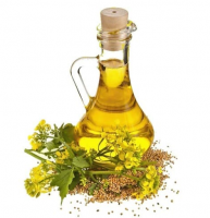 100% Crude & Refined Rapeseed Oil/Cooking Oil For Sale