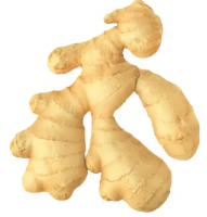 FRESH GINGER WITH TOP FOOD GRADE AVAILABLE FOR EXPORT AT CHEAP PRICES