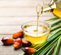Good quality and refined palm oil from netherland