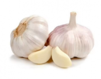 white and pure white bulk garlic for sale