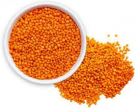 Best Quality Red Lentils Grains Whole and Split
