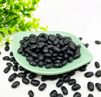High Organic Black Kidney Beans For Exports