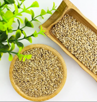 Wholesale Canary Seeds Price /Canary seeds for birds